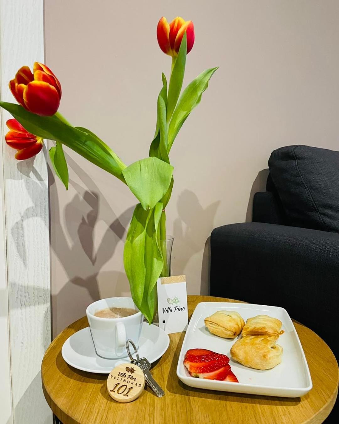 Villa Pino Velingrad Buitenkant foto