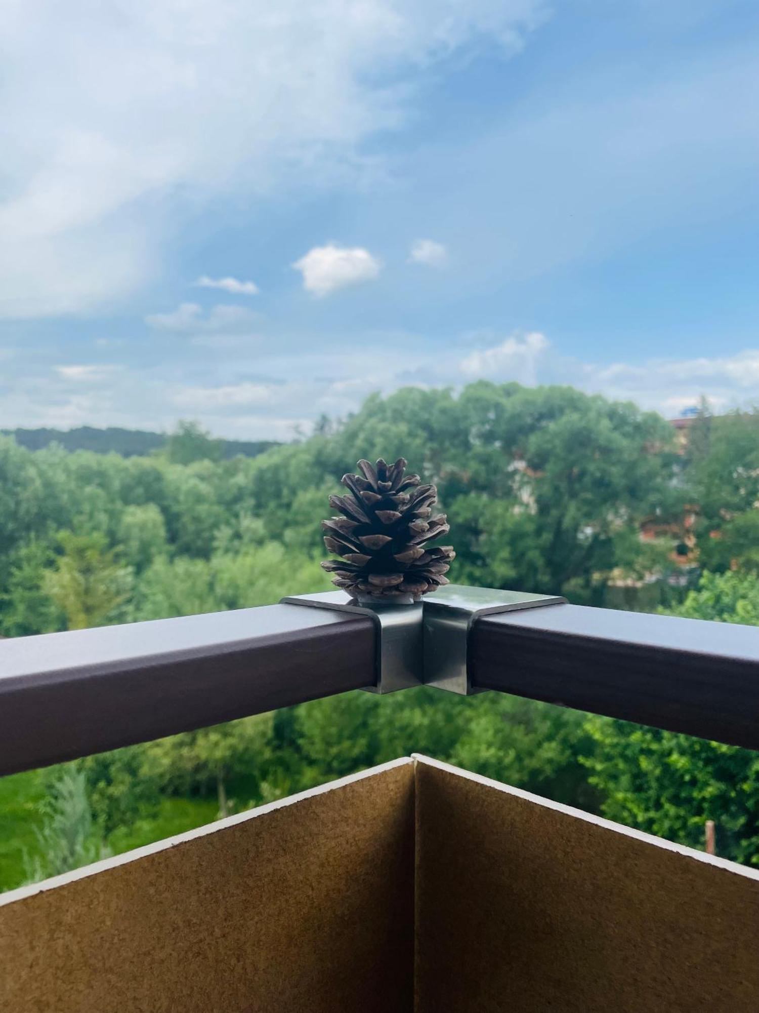 Villa Pino Velingrad Buitenkant foto